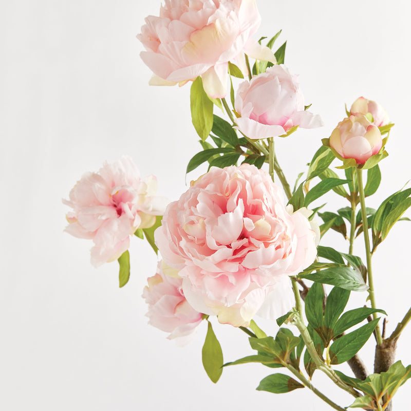 Peony Branch by NAPA Home & Garden
