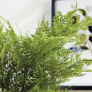 "Plumosa Fern Drop-In by NAPA Home & Garden"
