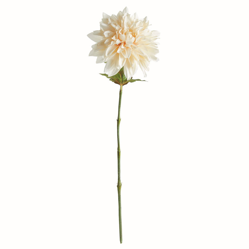 NAPA Home & Garden, Dahlia Stem Collection