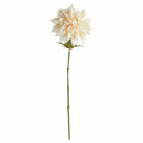 NAPA Home & Garden, DAHLIA STEM 28",N4GP07CR