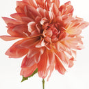 NAPA Home & Garden, Dahlia Stem Collection