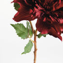 NAPA Home & Garden, Dahlia Stem Collection