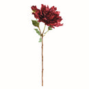 NAPA Home & Garden, Dahlia Stem Collection