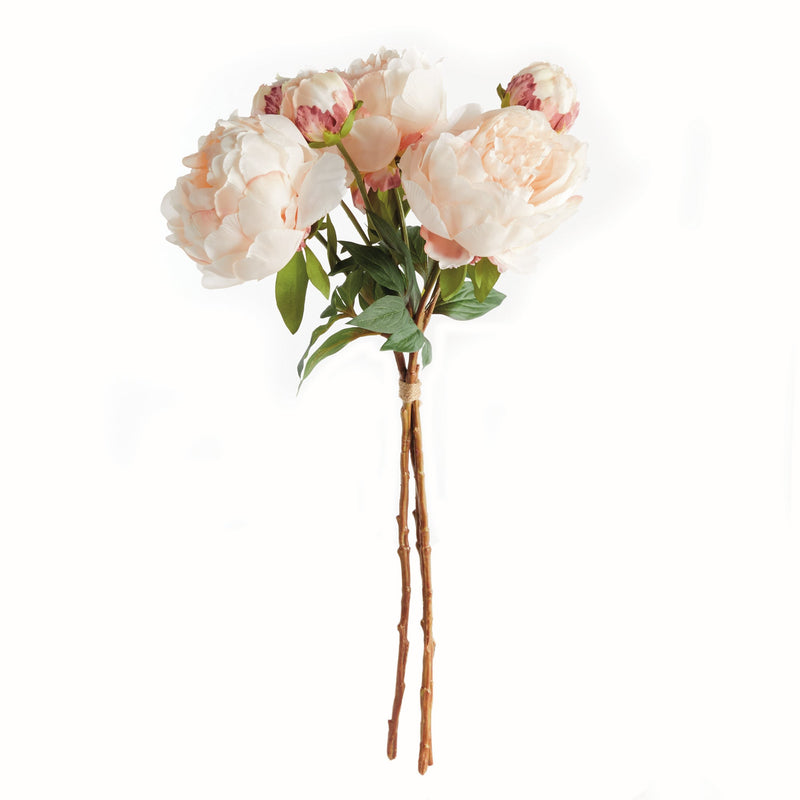 NAPA Home & Garden, Peonies Bundle
