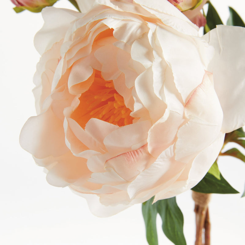 NAPA Home & Garden, Peonies Bundle