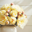 NAPA Home & Garden, Peonies Bundle