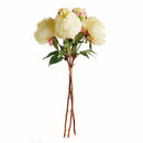 NAPA Home & Garden, PEONIES 21", BUNDLE OF 3,N4GP212YL