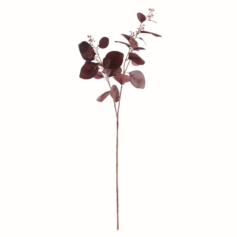 NAPA Home & Garden, Silver Dollar Eucalyptus Branch
