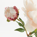 NAPA Home & Garden, PEONY STEM 21",N4GP413RGL