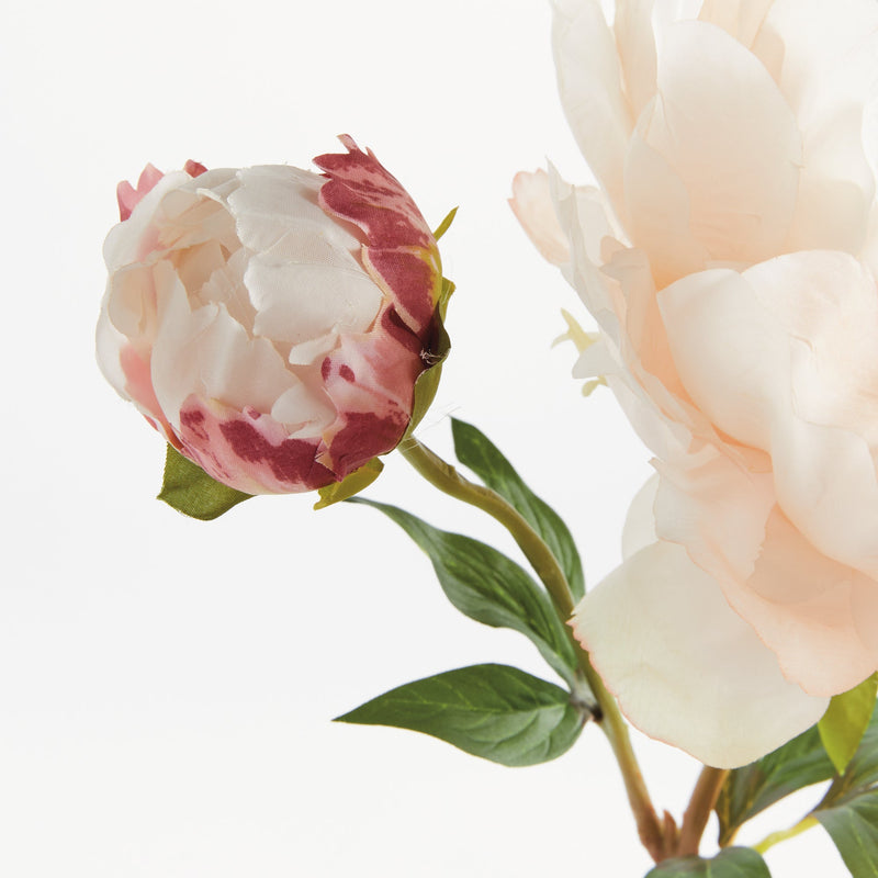 NAPA Home & Garden, PEONY STEM Collection