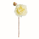 NAPA Home & Garden, PEONY STEM Collection