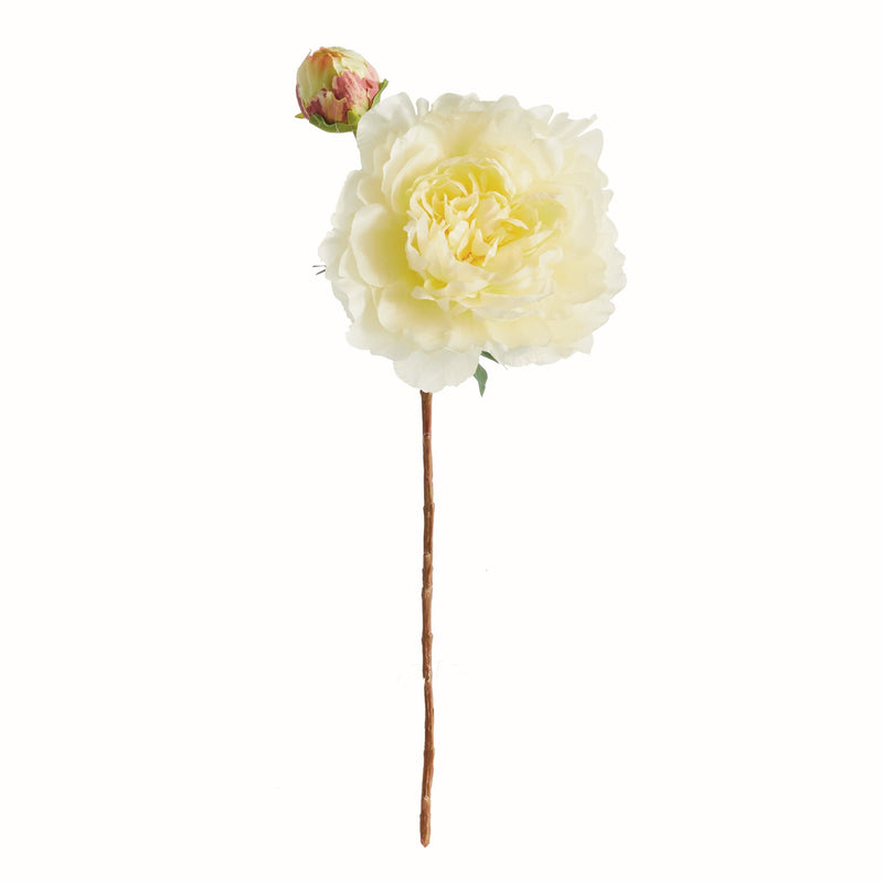 NAPA Home & Garden, PEONY STEM Collection