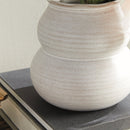 NAPA Home & Garden, CHYRSSA VASE Collection