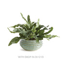 NAPA Home & Garden, AVANI Decorative Bowl