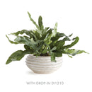 NAPA Home & Garden, AVANI Decorative Bowl