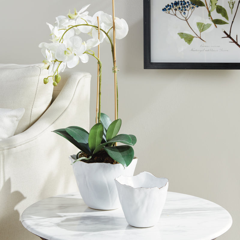 NAPA Home & Garden, MARIBELLA CACHEPOTS, SET OF 2,N4NG33