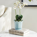 NAPA Home & Garden, Decorative Home Accents Collection