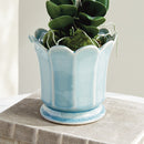 NAPA Home & Garden, Decorative Home Accents Collection