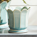 NAPA Home & Garden, Decorative Home Accents Collection