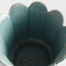 NAPA Home & Garden, Decorative Home Accents Collection