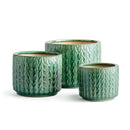 NAPA Home & Garden, ANILA POTS, Collection