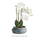 Mirela Decorative Bowl by NAPA Home & Garden