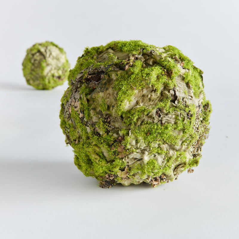 NAPA Home & Garden, MOSSY LICHEN ORB 8.5",N4TP01