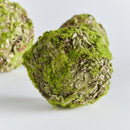 NAPA Home & Garden, MOSSY LICHEN ORB Collection
