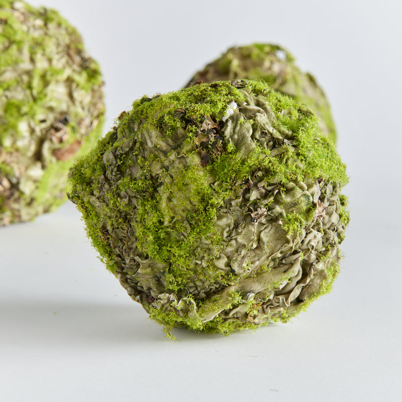 NAPA Home & Garden, MOSSY LICHEN ORB 4.5",N4TP03