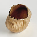 Rosalie and Lillian Vase Collection