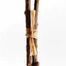 Ginkgo Branch Decor by NAPA Home & Garden