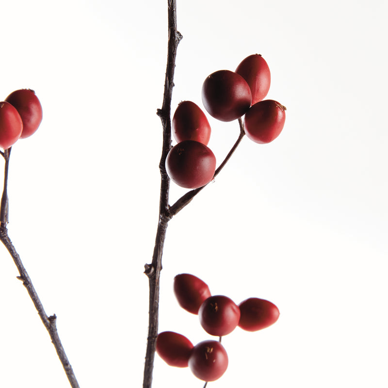 ROSEHIP BRANCH 43"
