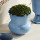 NAPA Home & Garden, DELANEY POT Collection
