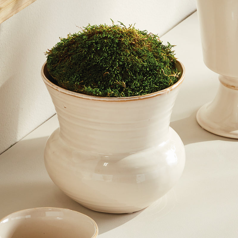 NAPA Home & Garden, DELANEY POT LARGE,N5CH09CR