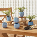 NAPA Home & Garden, DEZIE MINI POTS, COLLECTION