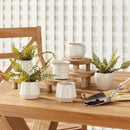 NAPA Home & Garden, DEZIE MINI POTS, COLLECTION