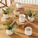 NAPA Home & Garden, DEZIE MINI POTS, COLLECTION