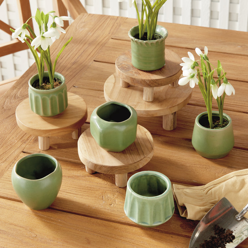 NAPA Home & Garden, DEZIE MINI POTS, SET OF 6,N5CH18GR