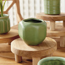 NAPA Home & Garden, DEZIE MINI POTS, COLLECTION