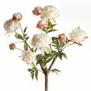 Peony Branch by NAPA Home & Garden