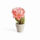 Mini Peony Potted Plant by NAPA Home & Garden