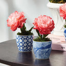 Mini Peony Potted Plant by NAPA Home & Garden