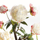 Peony Potted Drop-In