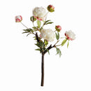 PEONY BRANCH