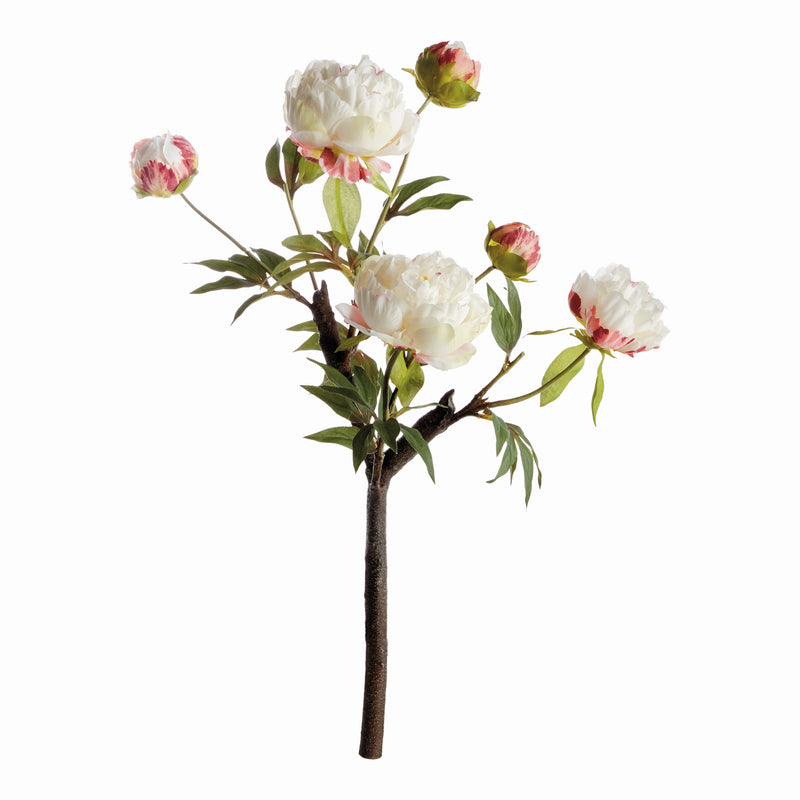 PEONY BRANCH