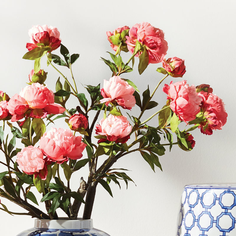 PEONY BRANCH