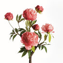 PEONY BRANCH