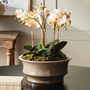 NAPA Home & Garden, TREMEZZO LOW BOWL,N5MP35