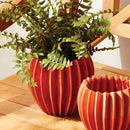 NAPA Home & Garden, NIKKO POT Collection