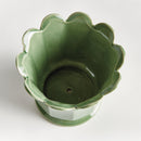 NAPA Home & Garden, Decorative Home Accents Collection